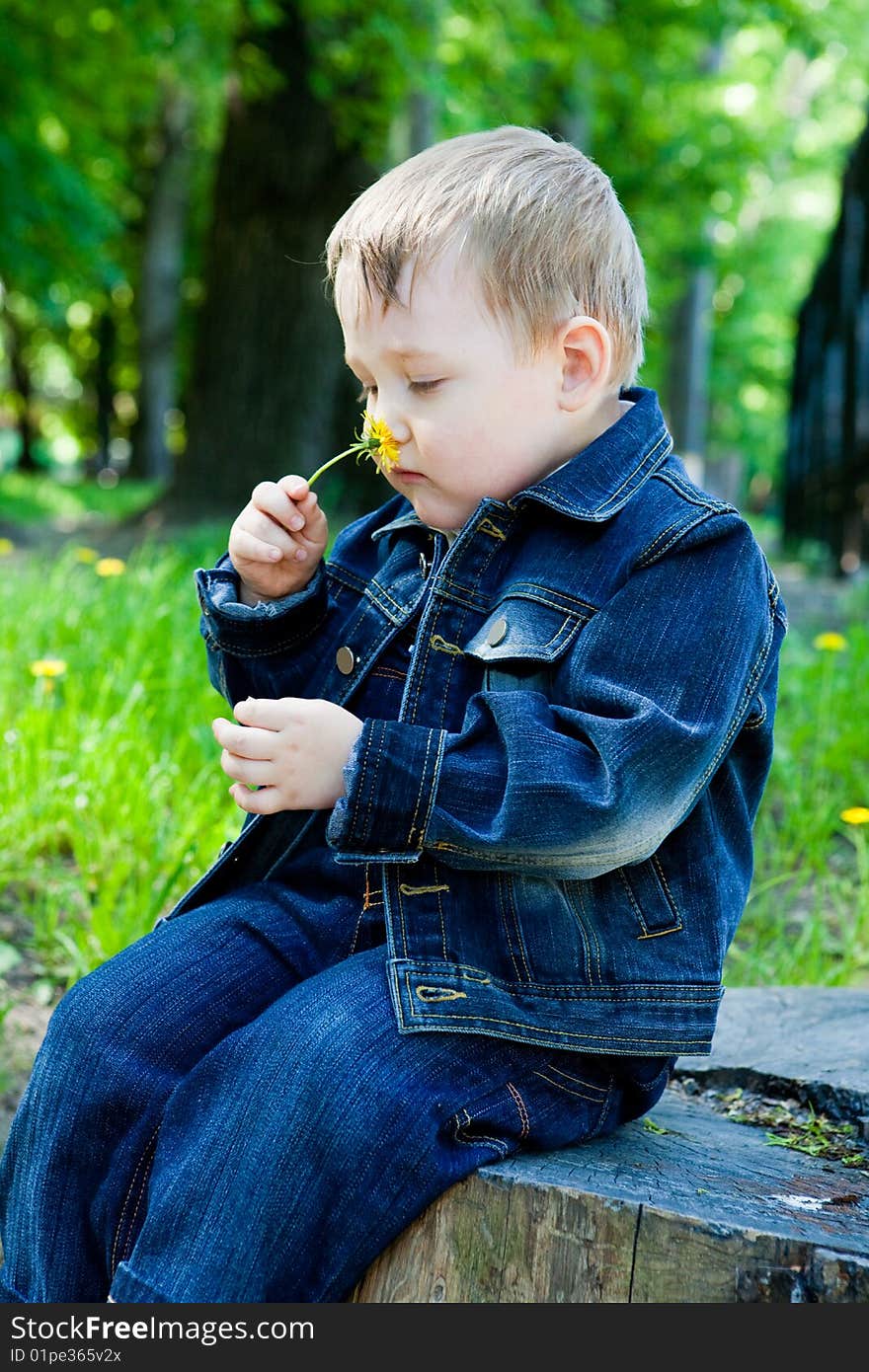 Boy sits on a stub in park and smells a flower