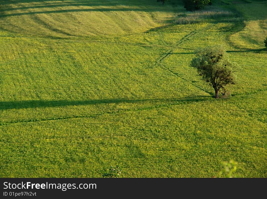 Fields in Spring in Lika Croatia