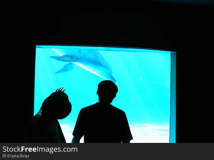 Couple before aquarium