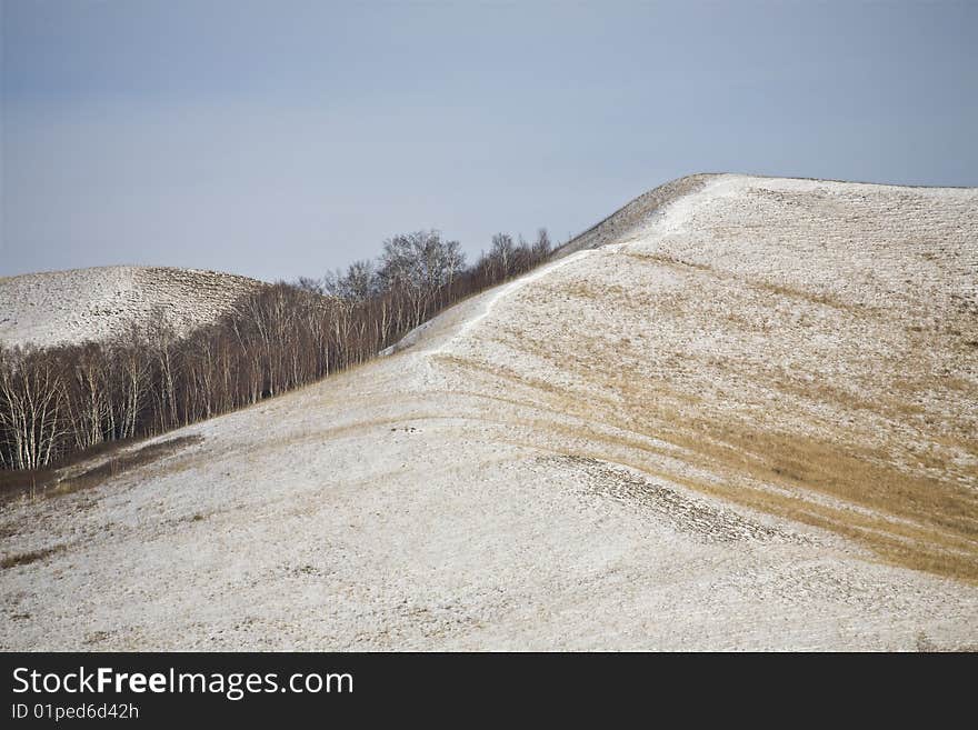 Meadow under snow