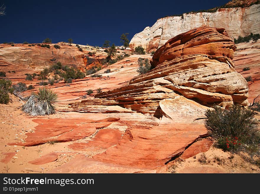 Zion National Park, Utah, USA