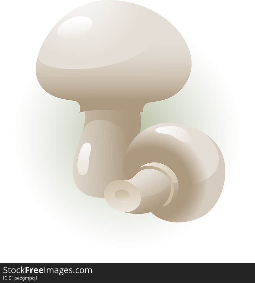 Vector image of champignons, isolated, eps 8