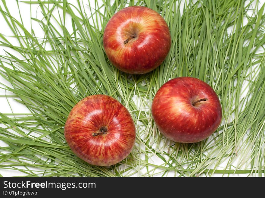 Three red apples to rest upon green herb. Three red apples to rest upon green herb