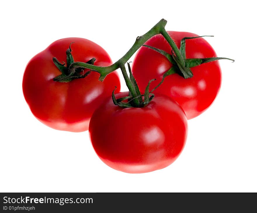 Juicy Tomatoes