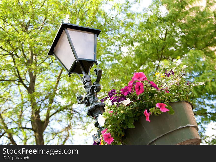 Street Lamp With Flowers