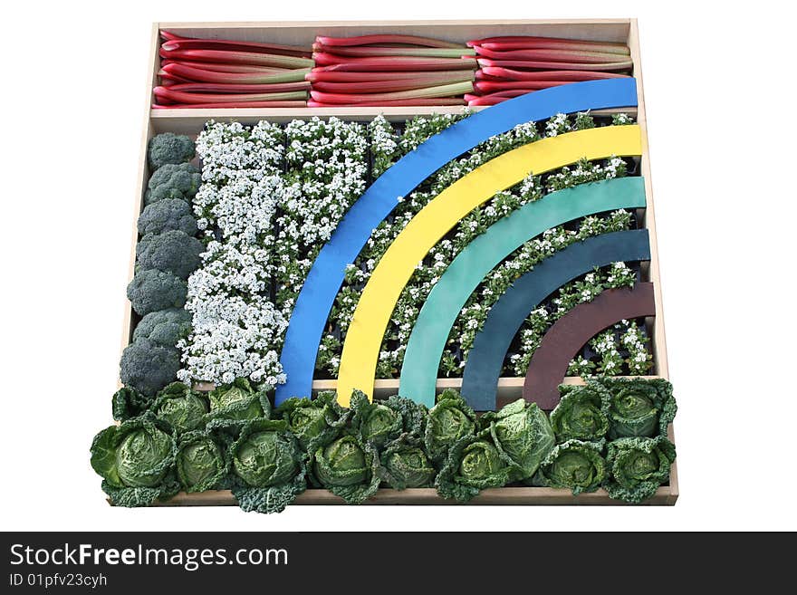 A Rainbow Box of Plants and Vegetables. A Rainbow Box of Plants and Vegetables.