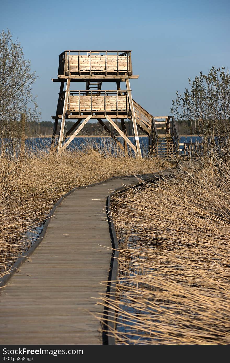 Bird watching tower