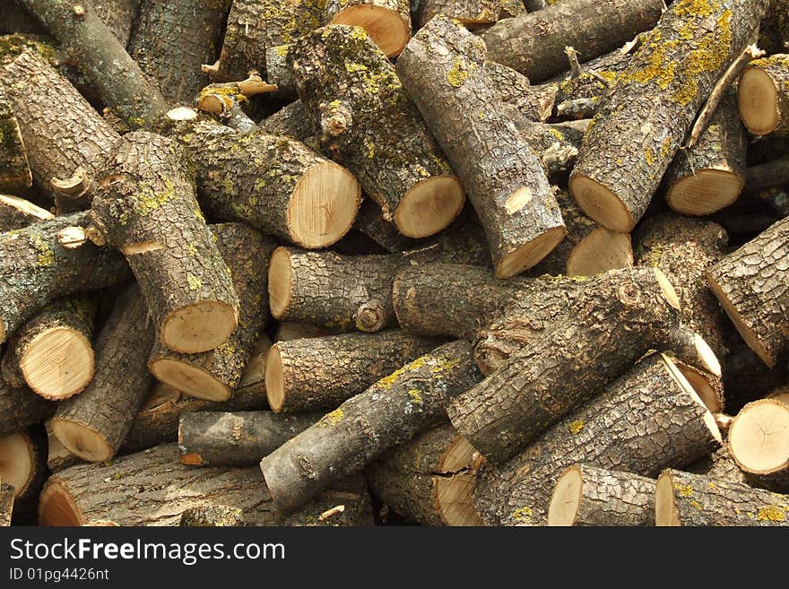 A bunch of pieces of wood - oak round logs.