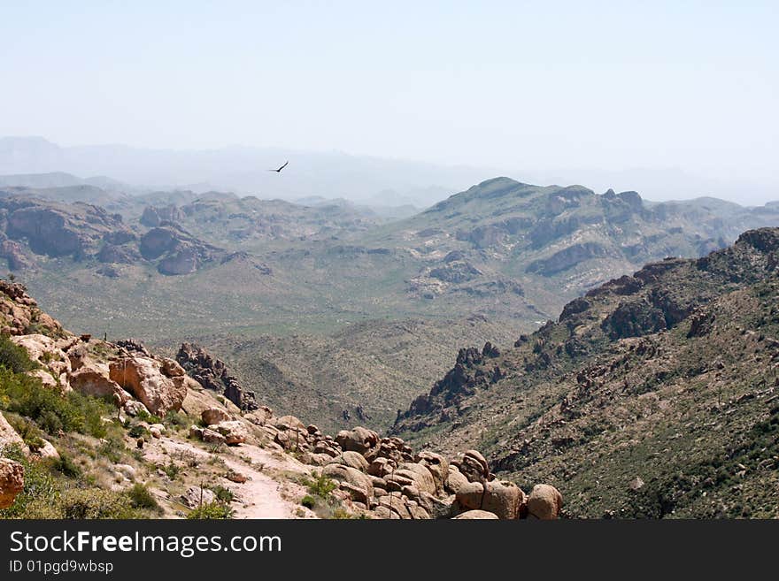 Hawk soaring over Arizona desert landscape. Hawk soaring over Arizona desert landscape