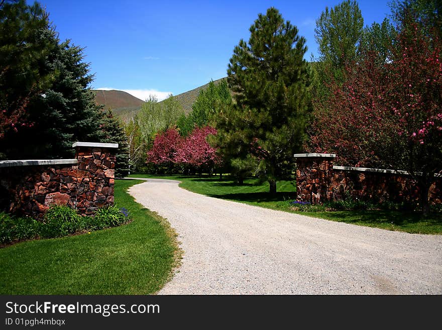 Driveway in spring bloom in Blaine County Idaho. Driveway in spring bloom in Blaine County Idaho