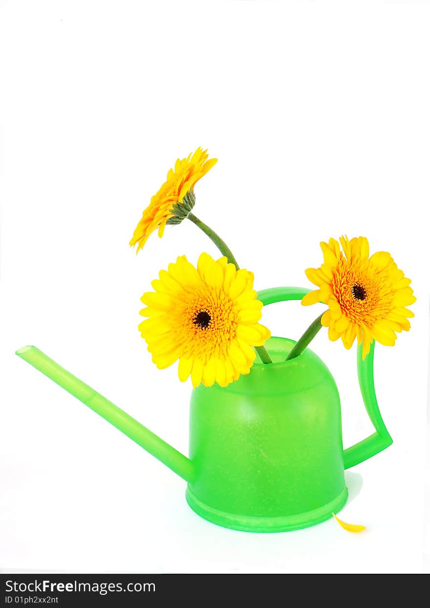 Green watering can with orange colours.Photo. Green watering can with orange colours.Photo