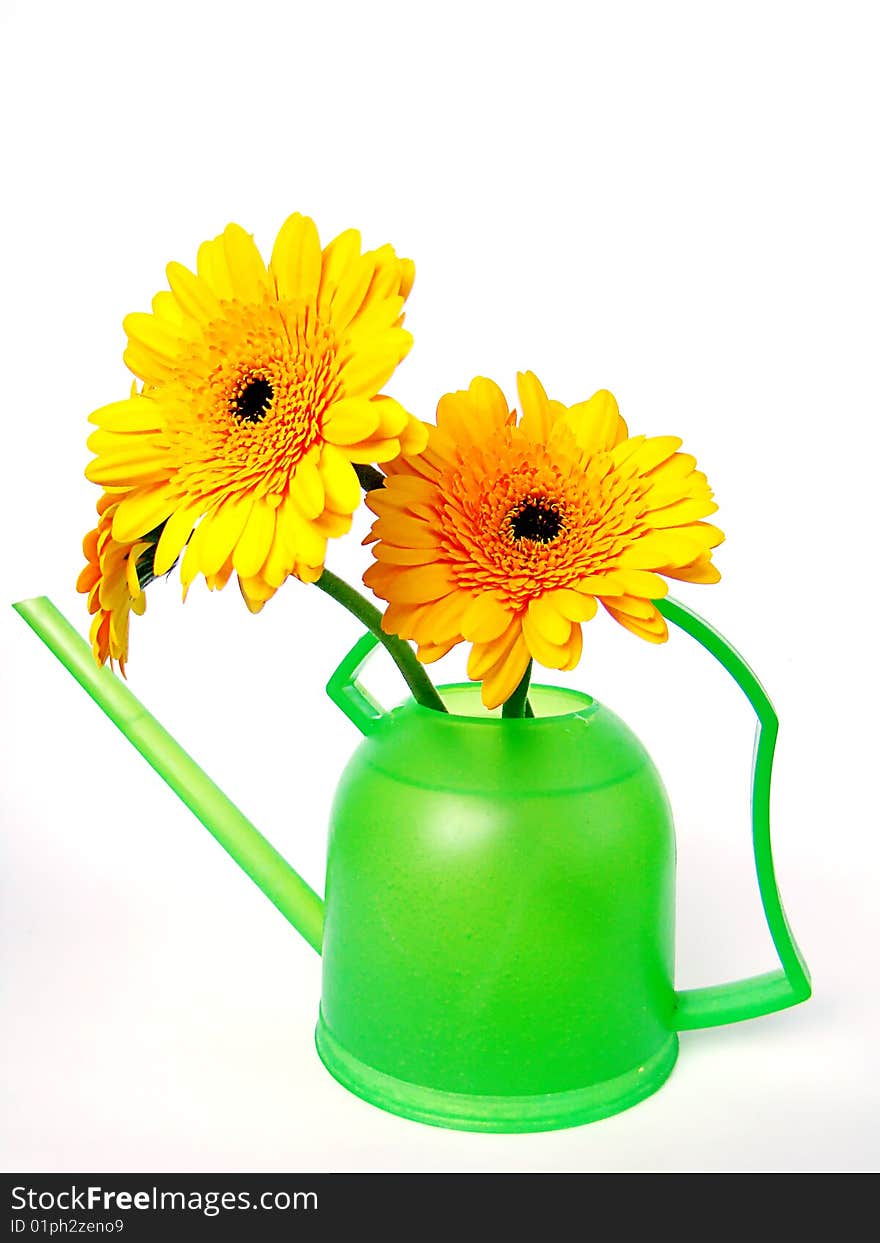 Green watering can with orange colours. Photo