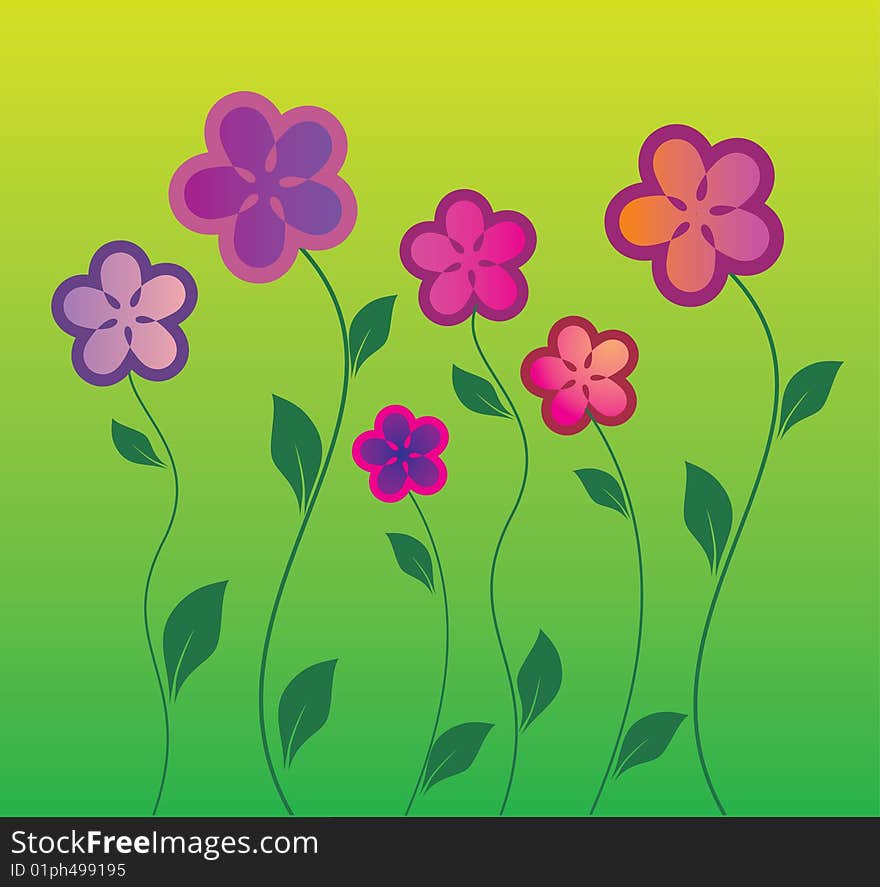 Flowers on a green background