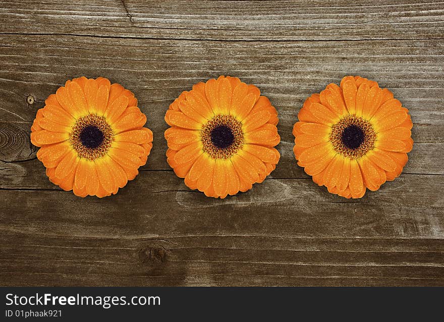 Three nice gerbera on wood