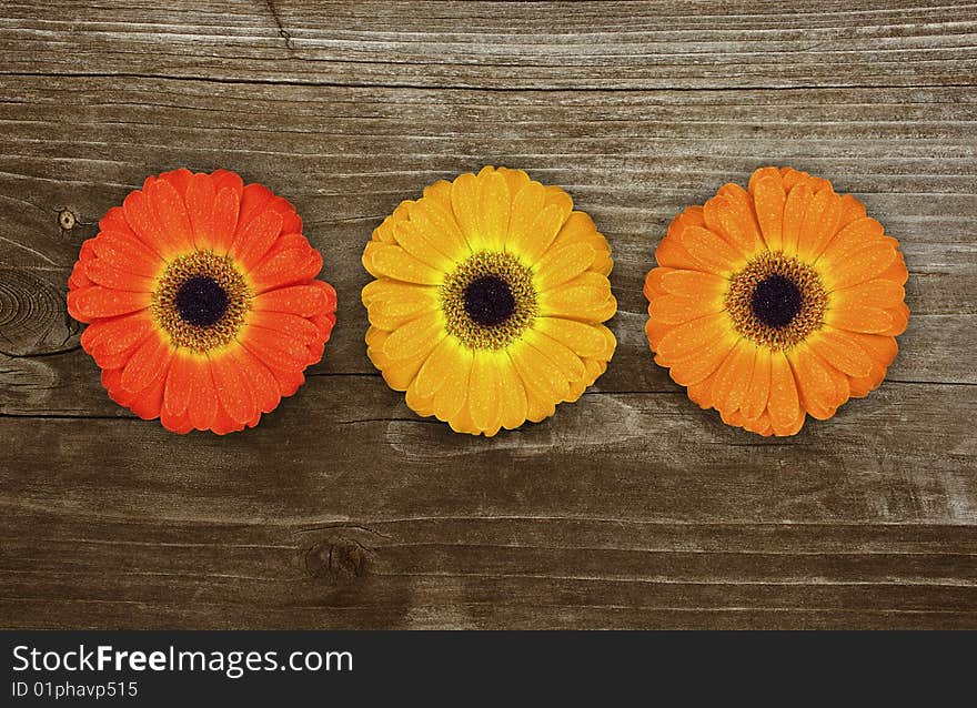 Three nice gerbera on wood