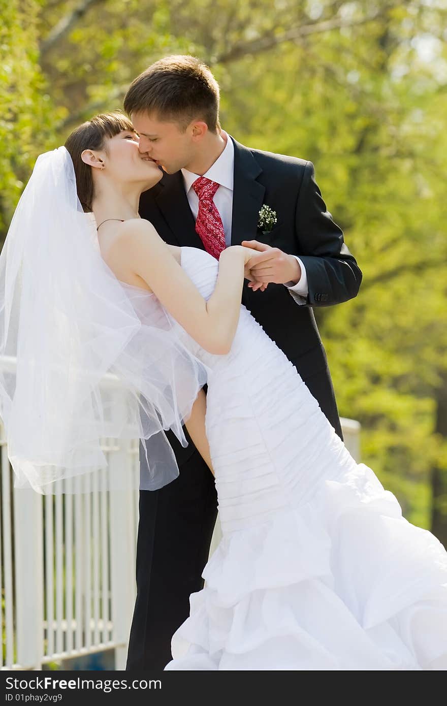 Colorful wedding shot of bride and groom kissing. Colorful wedding shot of bride and groom kissing