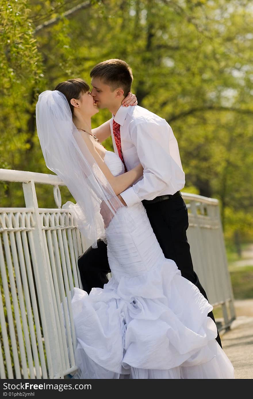 Colorful wedding shot of bride and groom kissing. Colorful wedding shot of bride and groom kissing