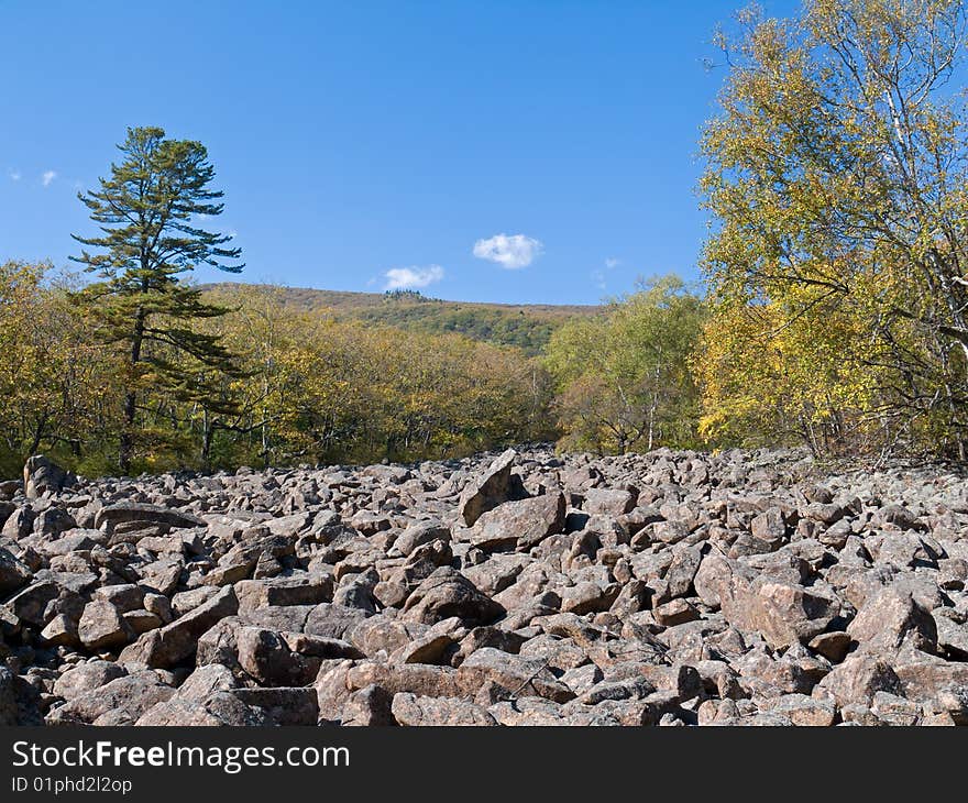 A landscape of autumn highland taiga. A landscape of autumn highland taiga.