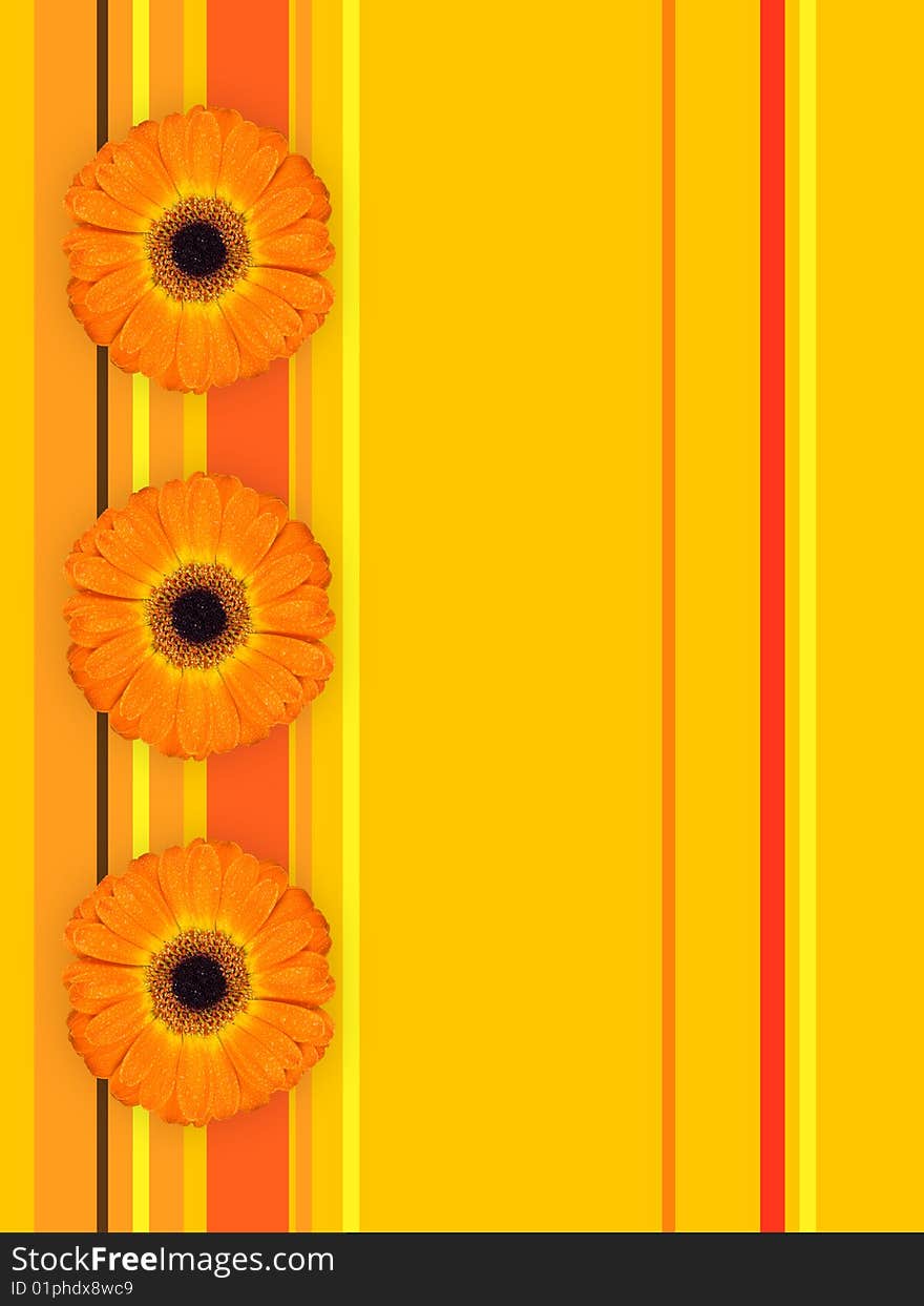 Three nice gerbera on illustrated background with stripes