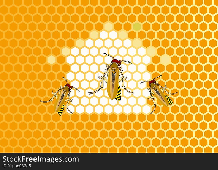 description of cellular and hornets vector illustration. description of cellular and hornets vector illustration