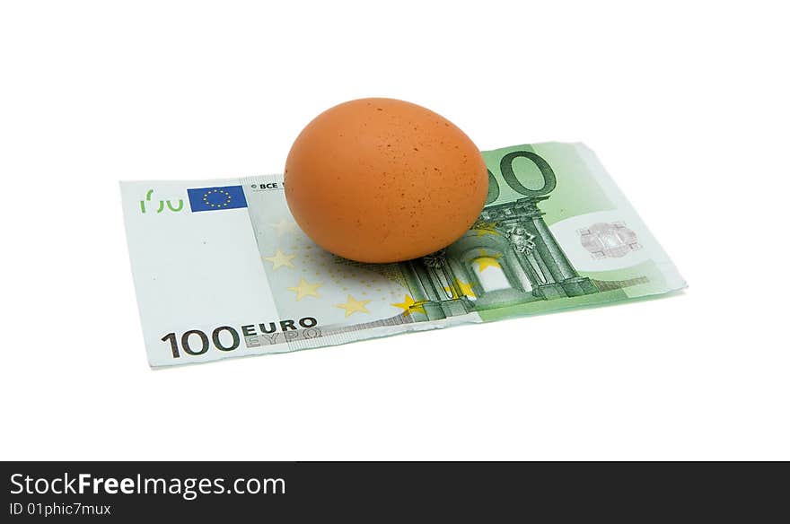 Brown Egg On Euro Bill Isolated