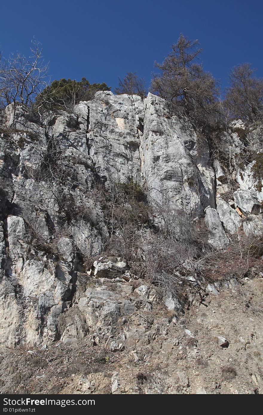 Rock covered with trees derived from the bus journey in the Alps. Rock covered with trees derived from the bus journey in the Alps.