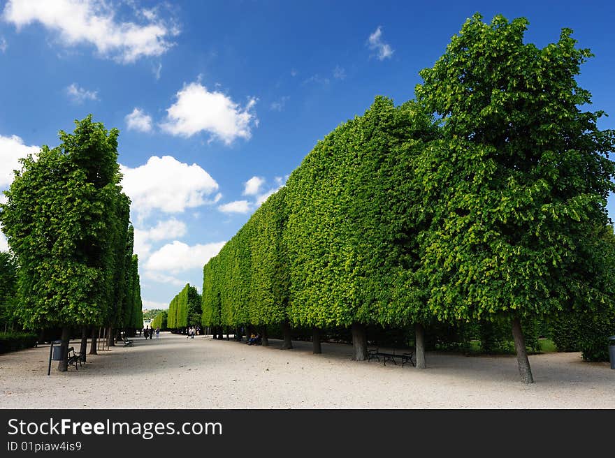 Garden Of SchÃ¶nbrunn Palace