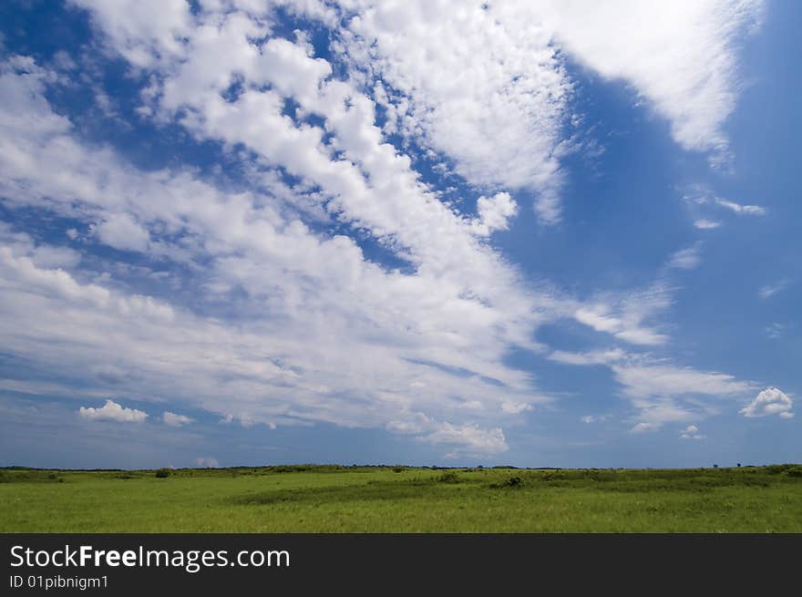 Wide angle blue sky with daylight background