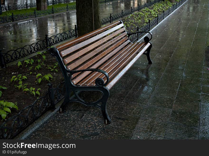 Wet park bench after rain