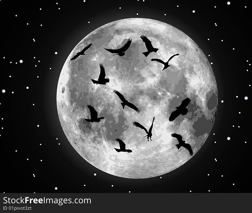 Vector Moon Illustration And Birds