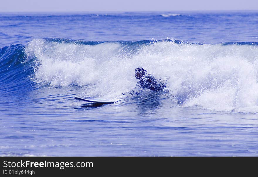 Woman surfing inside the wave