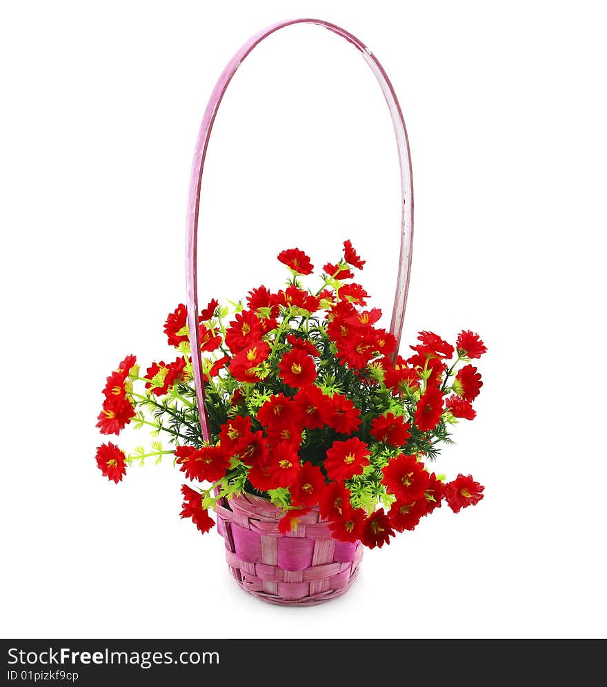 Hanging Basket with Flowers Isolated