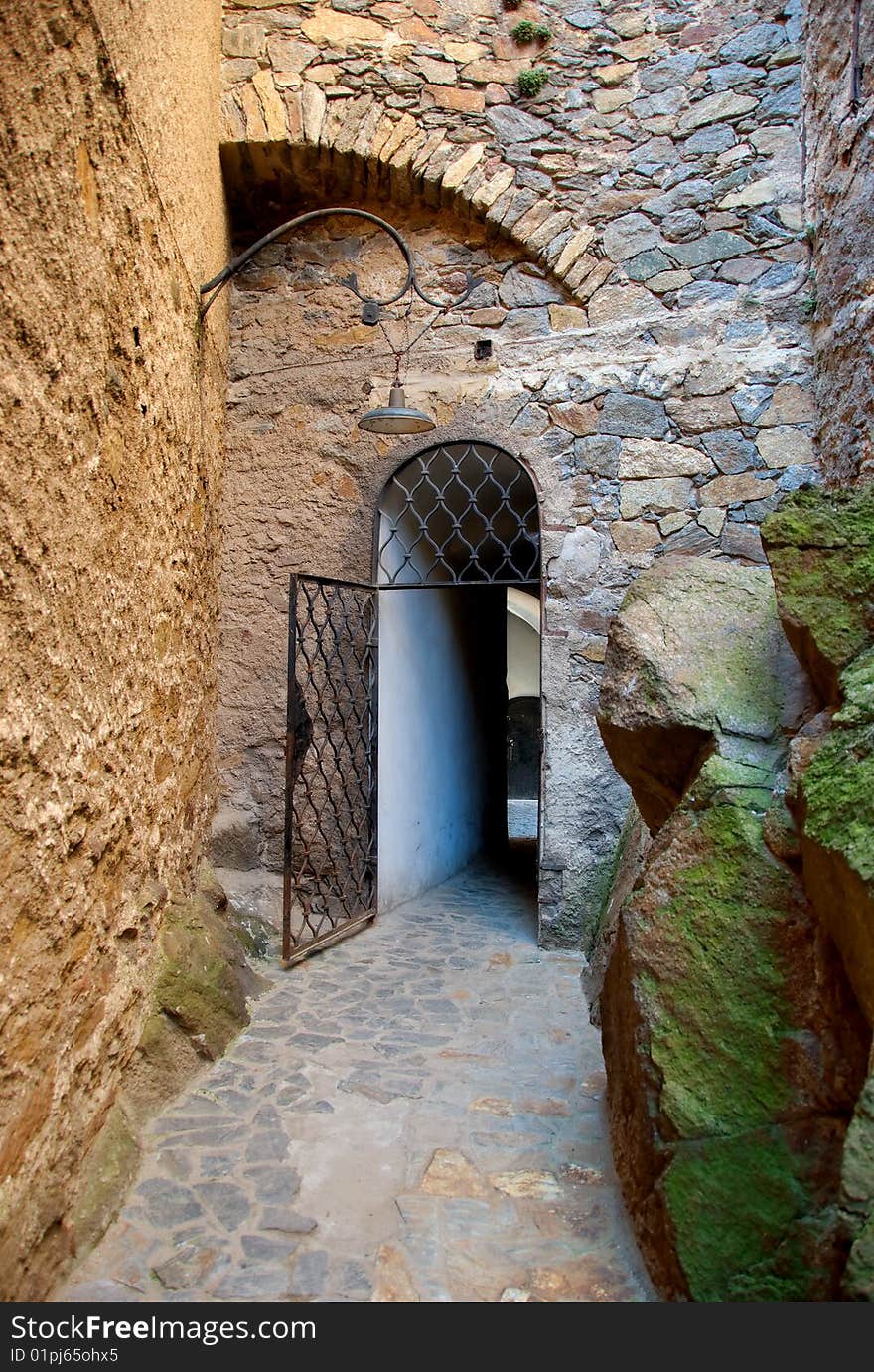 Old door in the castle