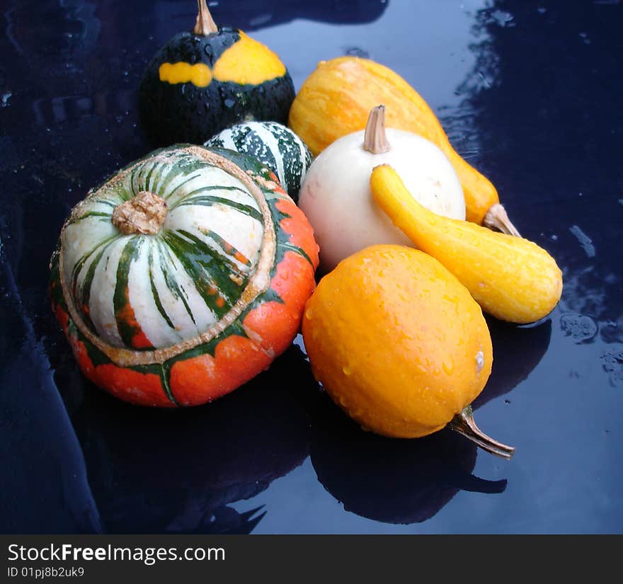 Many gourds on a wet table