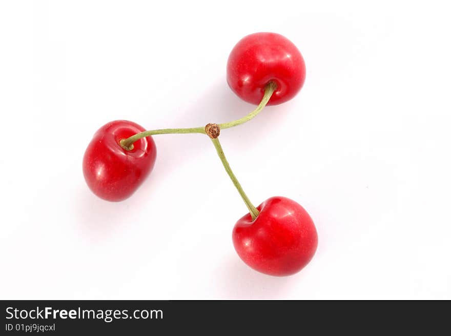 Red cherry on a white background