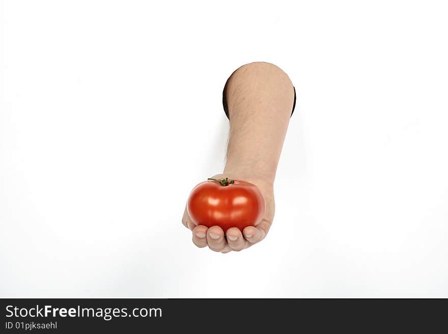 Red juicy tomato in hand