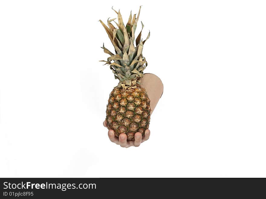 Hand is holding pine apple