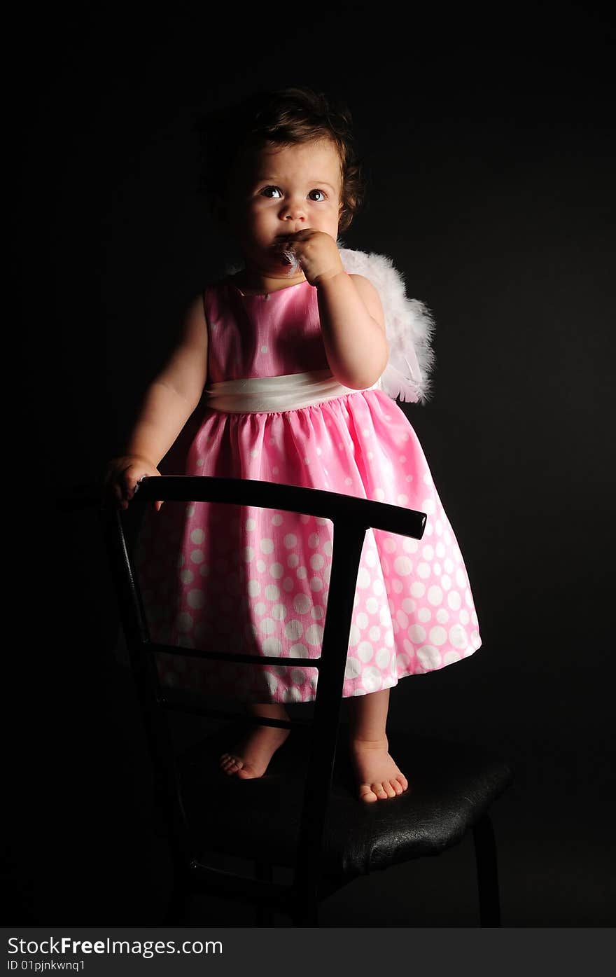 Studio shot of a baby girl. Studio shot of a baby girl