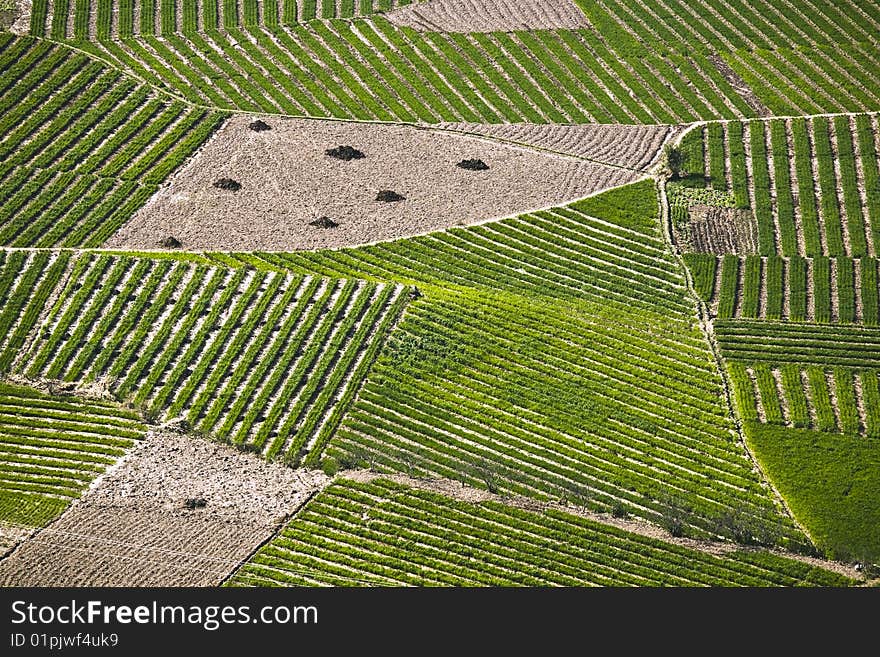 Field in the mountians in the southwest of china