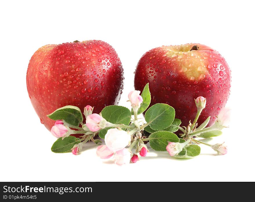 Apples and flowers on a white background, it is isolated.