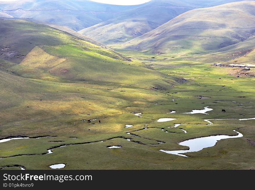 The scenery of plateau alpine meadow ranch