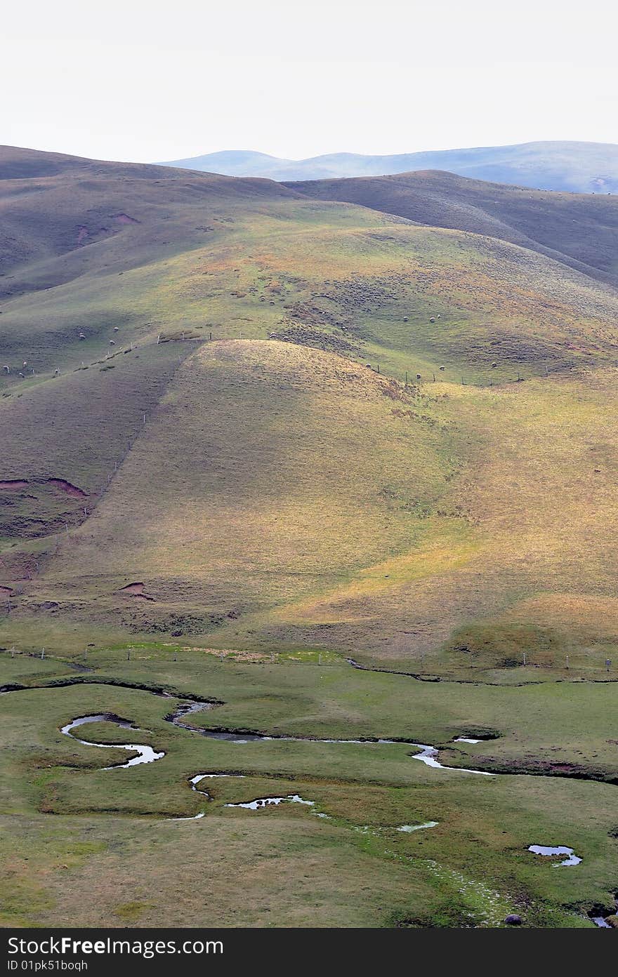 The scenery of plateau alpine meadow ranch