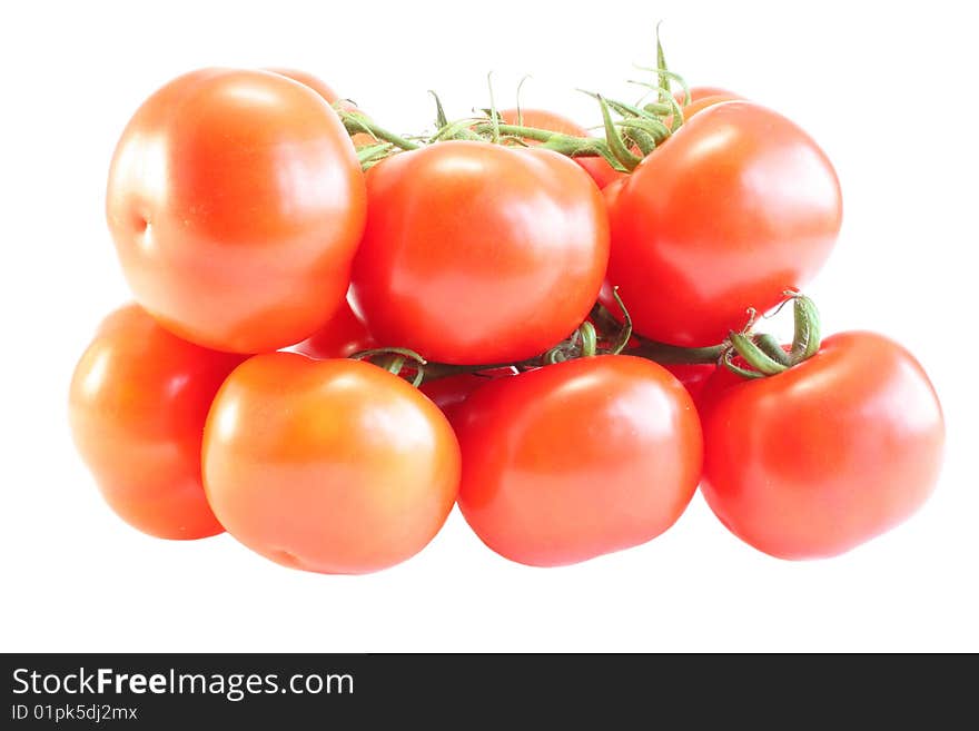 Tomatoes with a branch