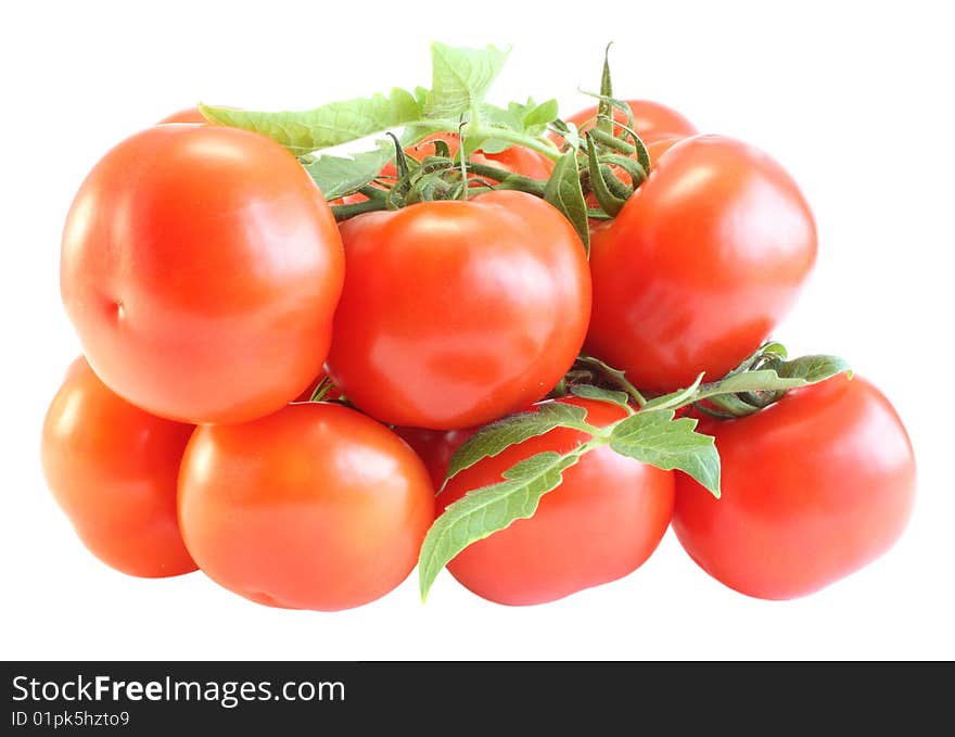 Tomatoes with a branch