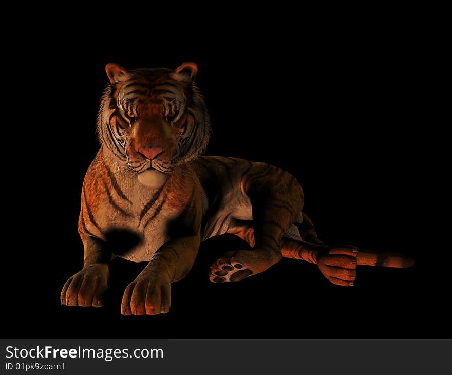 A picture of a tiger lying on the floor, isolated on black background. A picture of a tiger lying on the floor, isolated on black background.