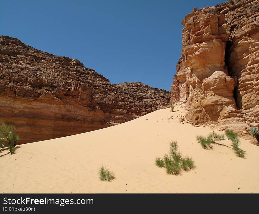 Red canyons of the desert