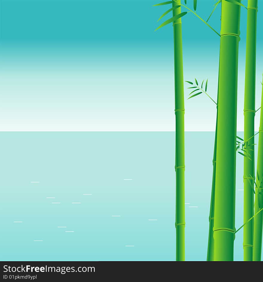 Bamboo