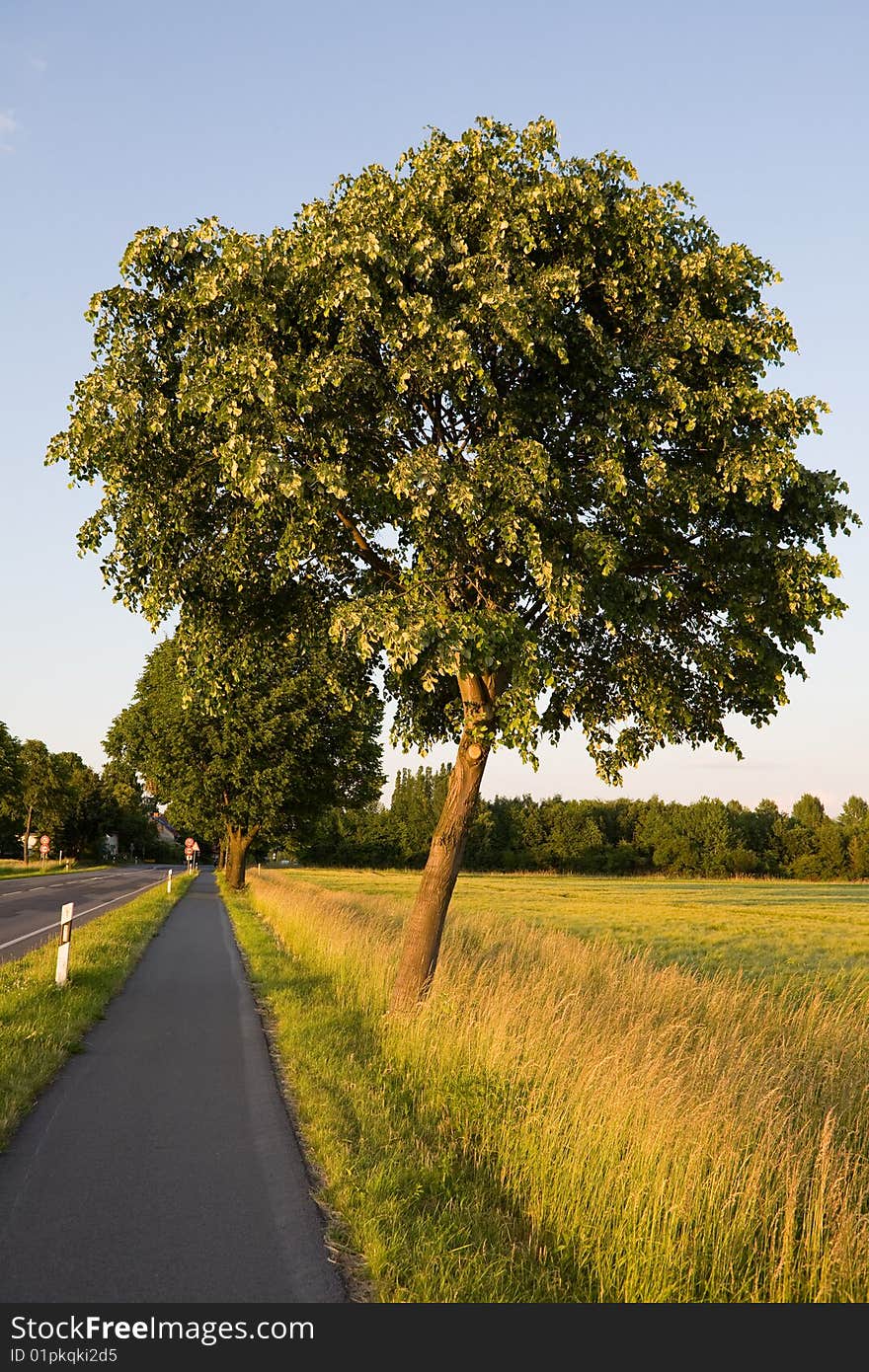 Bike Path