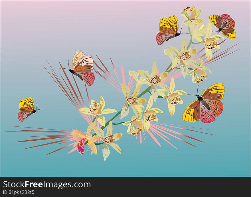 Illustration with butterflies and yellow ochids on pink and blue background. Illustration with butterflies and yellow ochids on pink and blue background