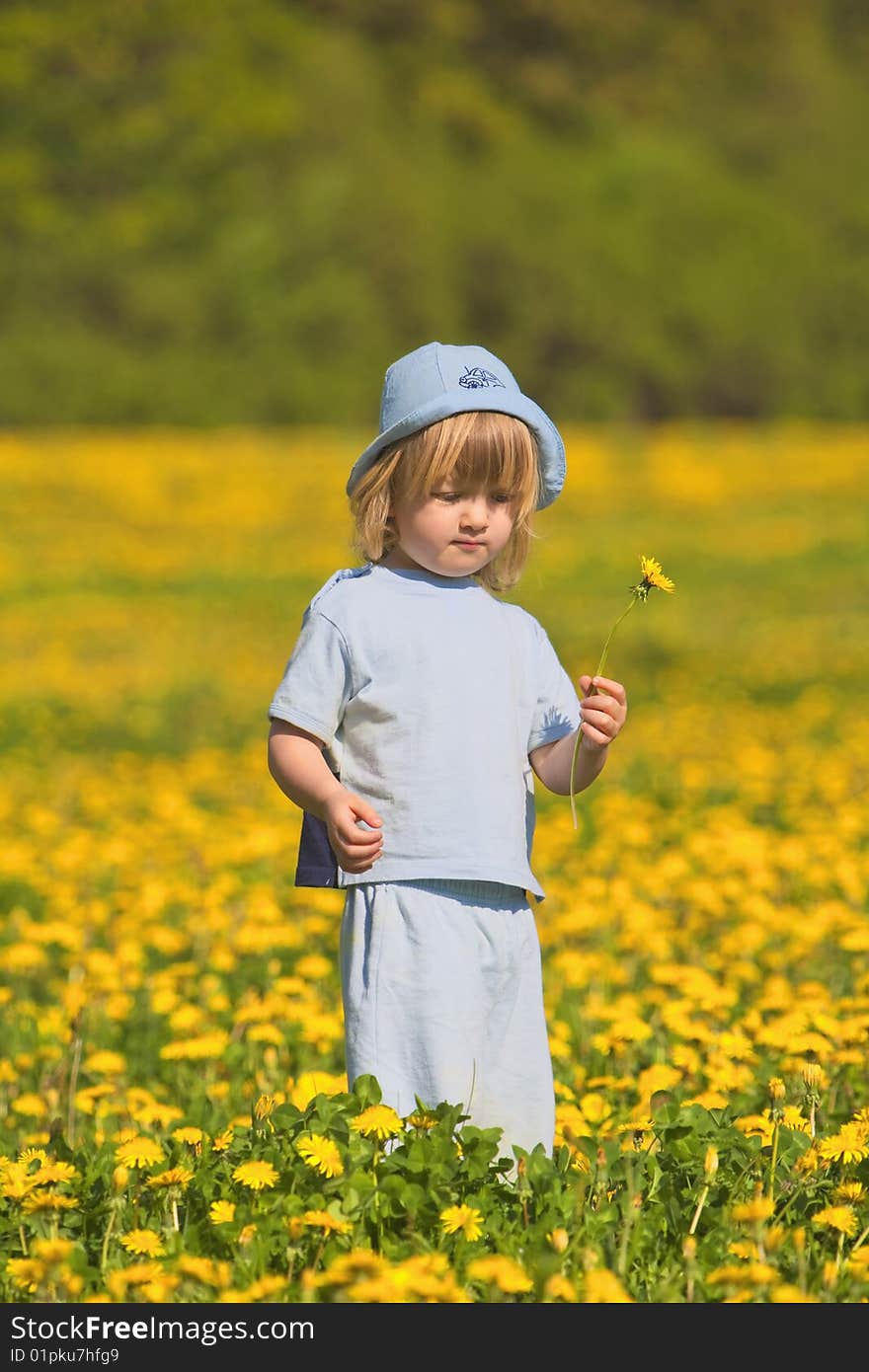 Boy With A Dandelion